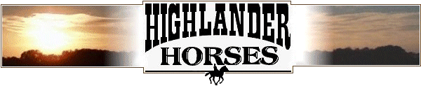 Highlander Horses