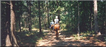 Trail Riding